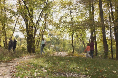 На Сухой Самарке благоустроят зеленую зону