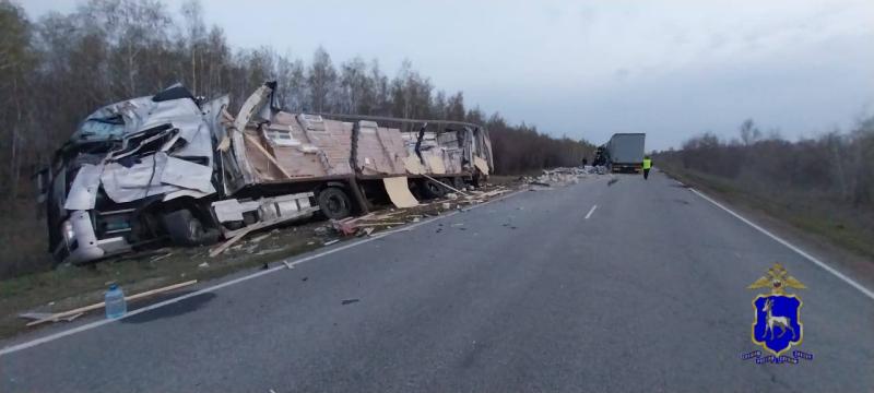 В Самарской области 18 апреля после столкновения двух большегрузов погиб мужчина