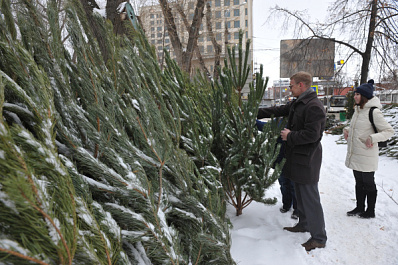 В Самаре елочные базары начнут работать с 15 декабря