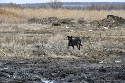 Название статьи