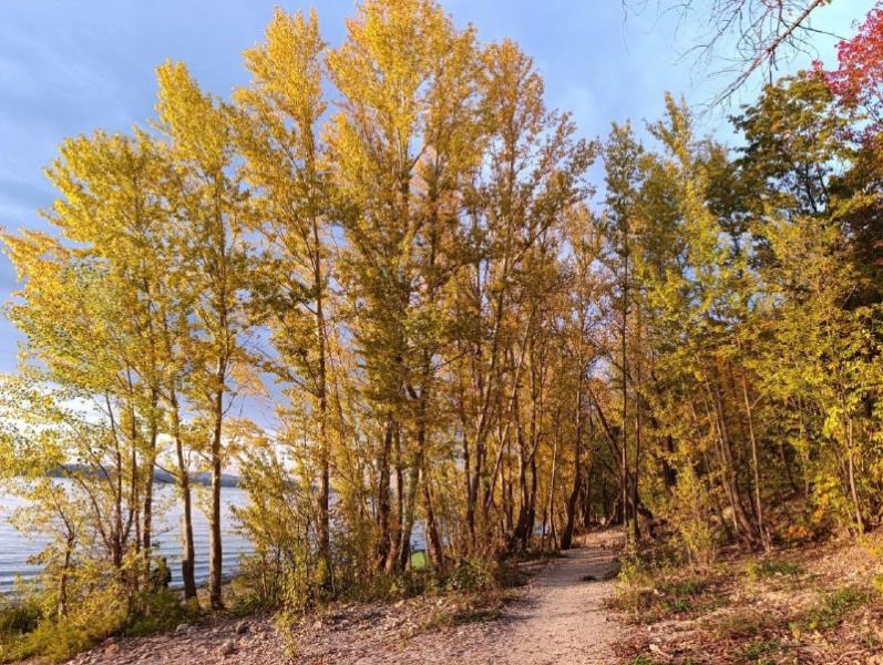 В Самарской области 5 октября будет облачно и по-осеннему тепло