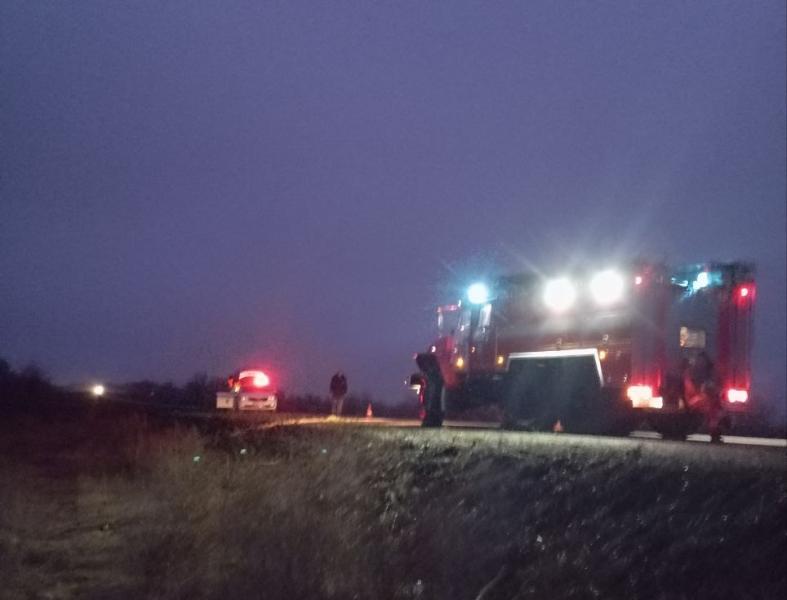 В Волжском районе 2 декабря водитель "девятки" сбил лося