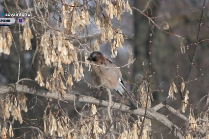 Название статьи