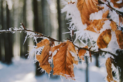 Название статьи