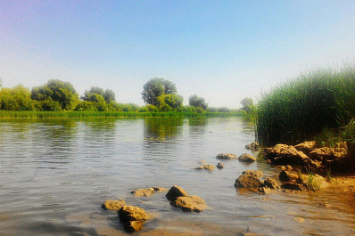 Труп 23-летнего парня с простреленной головой обнаружили на берегу Волги в Самарской области