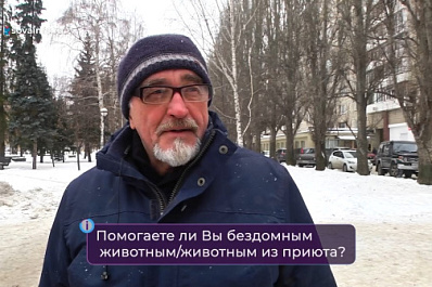 Самарцы рассказали, что помогают бездомным животным