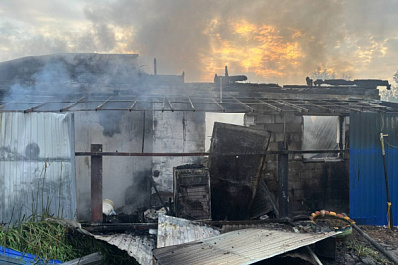 Утром 25 июля в Самарской области вспыхнул дачный дом