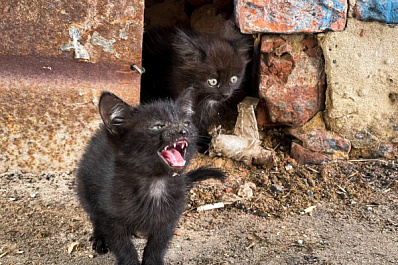 Народные приметы на 12 сентября 2025 года: что нельзя делать в этот день