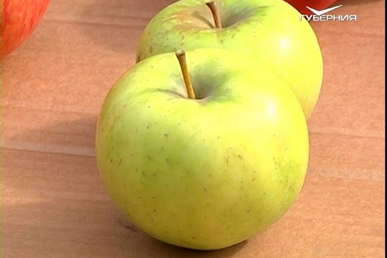 Осенние сорта яблок и подготовка газона к зиме. Удачные заметки от 25.09.2018