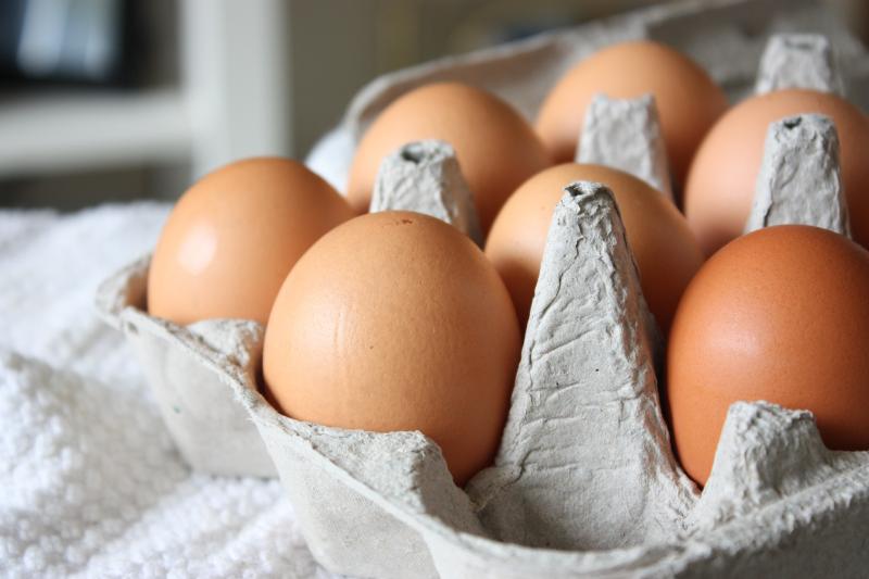 В России предложили запретить экспорт куриных яиц на полгода