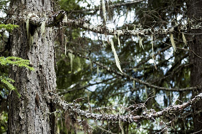 Штормовое предупреждение в Самарской области будет действовать с 18 по 21 сентября