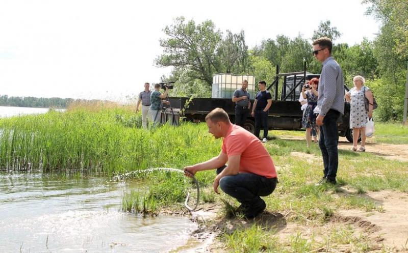 В Чапаевске началась реабилитация озера Ильмень 
