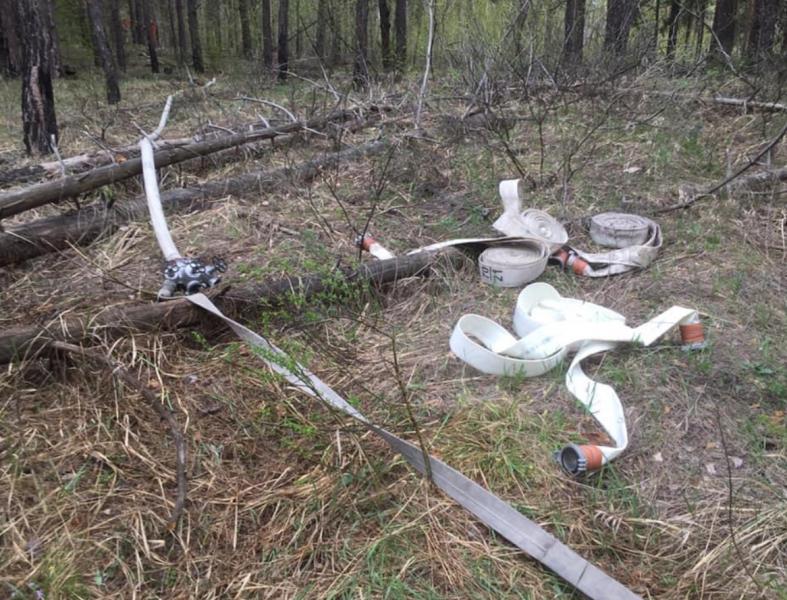 В Тольятти в городском лесничестве загорелся лес