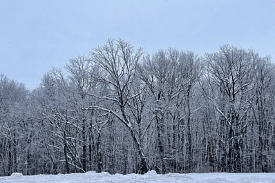 Жителей Самарской области предупредили о снегопаде