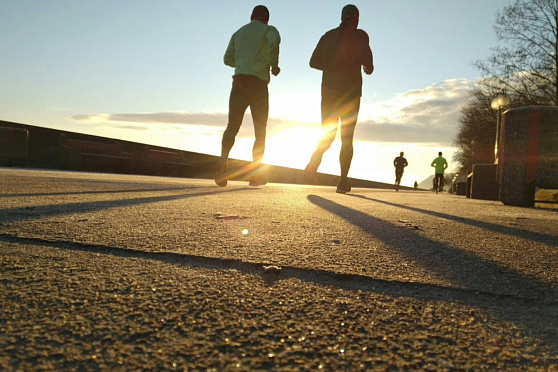 День бега. Утро Губернии