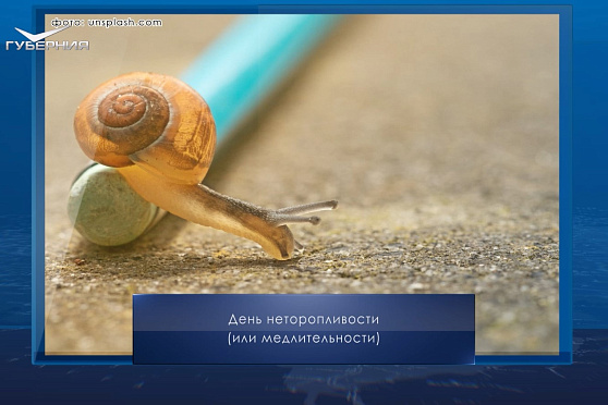 День медлительности. Календарь Губернии от 26 февраля