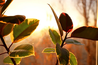 Название статьи