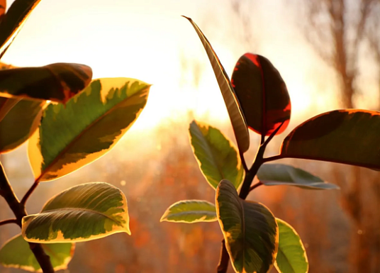 Название статьи