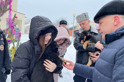 Название статьи