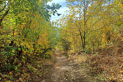 Название статьи