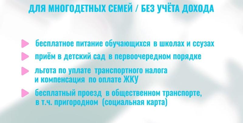 В бюджете Самарской области предусмотрено 50 млрд рублей на поддержку семей с детьми в 2024 году