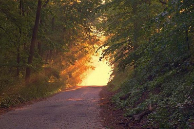 В Клявлинском лесничестве готовят технику к борьбе с лесными пожарами 