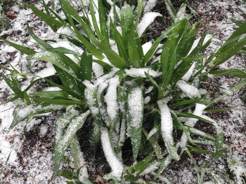 Народные приметы на 5 ноября 2025 года: что нельзя делать в этот день