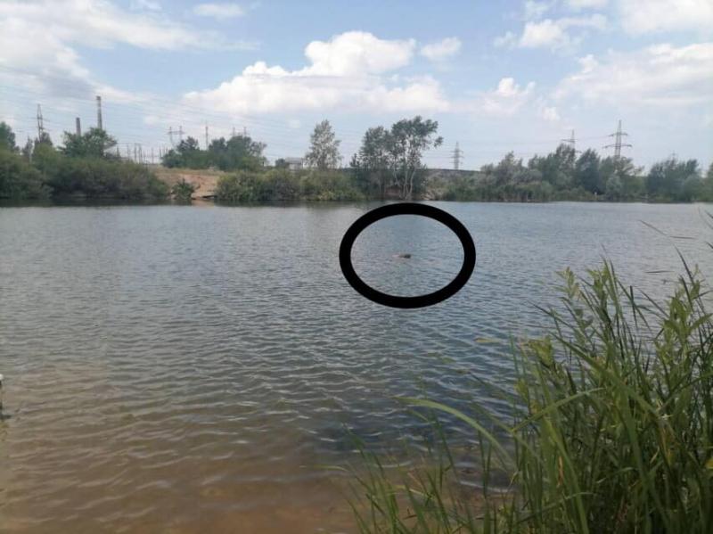 В Тольятти в озере у АТП-3 утонул мужчина