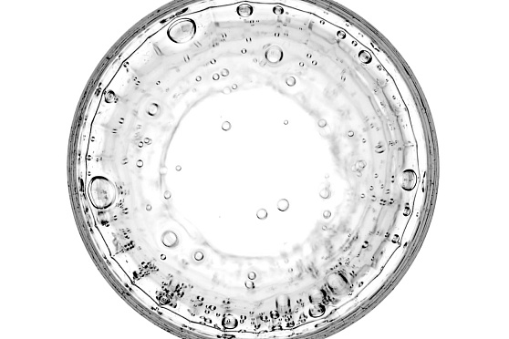 Всемирный день науки. Такое утро