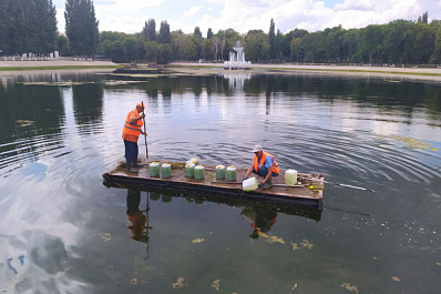 В Самаре началась биологическая очистка водоемов от водорослей