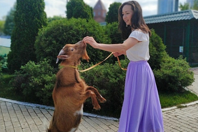 Самарцев приглашают познакомиться с камерунскими козами