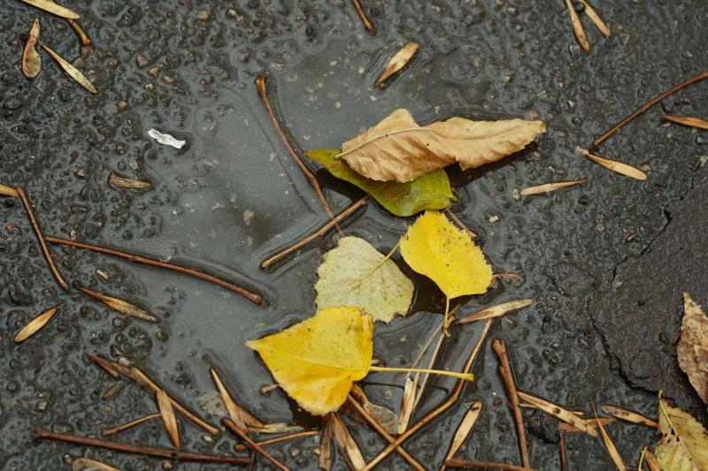 Прямо на газоне: самарцы пожаловались на стихийную парковку в Железнодорожном районе