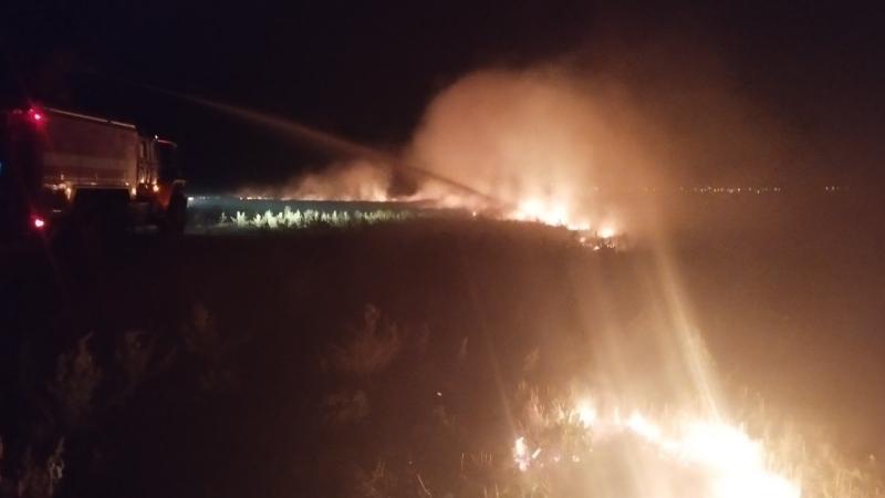 Огонь уничтожил 500 "квадратов" сухой травы в Кинель-Черкасском районе