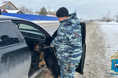 В Самарской области полицейские вместе с кинологами, дружинниками, сотрудниками ОМОН и Росгвардии проводят профилактические мероприятия