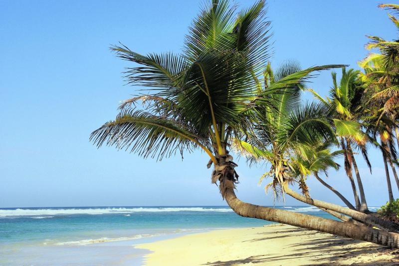 Новый год на Карибах: стало известно, куда самарцы летали на длинных каникулах