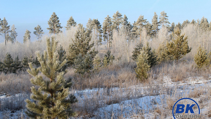 19 декабря в истории и архиве "ВК"