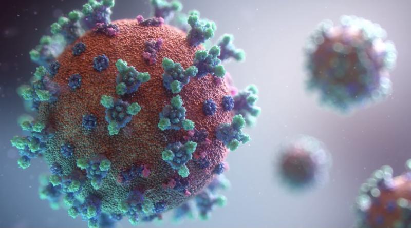 В России выявили новый подвид коронавируса "кентавр"