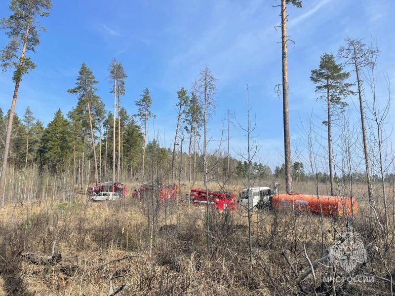 В Тольятти 12 апреля загорелся лес на площади 1 гектар