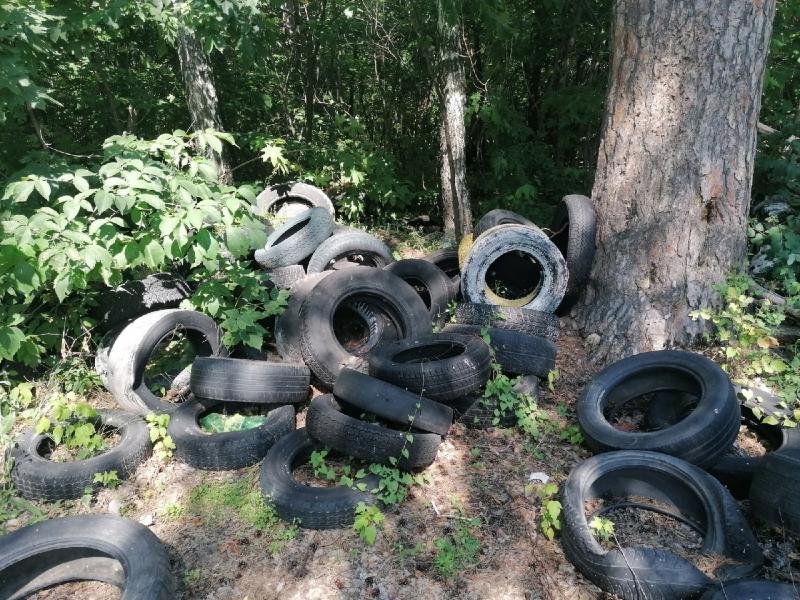 В лесу Тольятти обнаружили несанкционированную свалку автомобильных шин