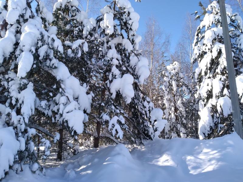 В Самарской области объявлено штормовое предупреждение из-за аномальных морозов