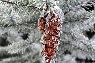 Оранжевый уровень опасности объявили в Самарской области из-за аномальных морозов