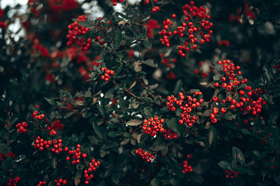 Народные приметы на 12 августа 2025 года: что нельзя делать в этот день