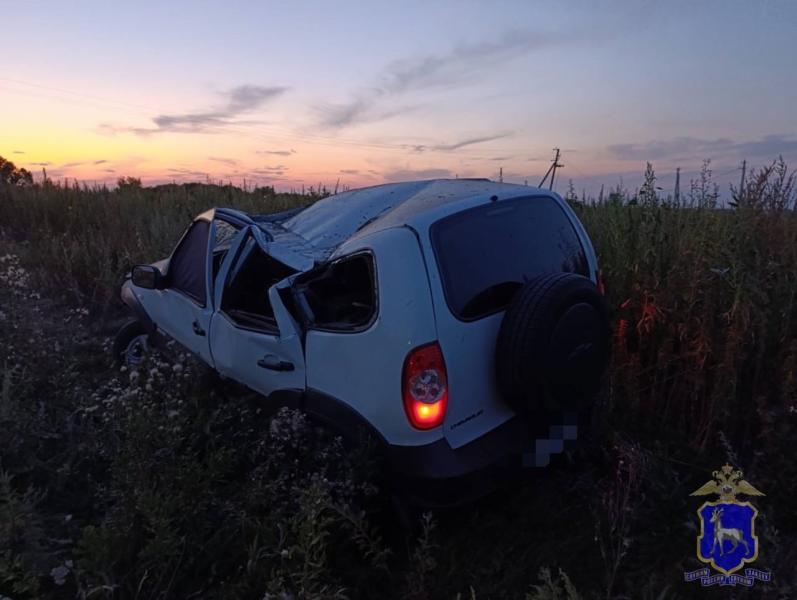 В Самарской области "Нива" опрокинулась в кювет и влетела в столб