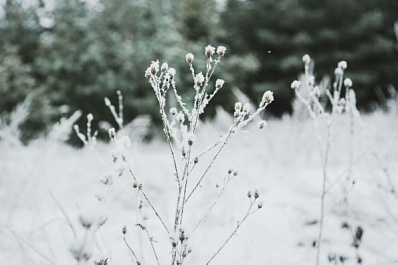 В Самарской области объявлен оранжевый уровень опасности из-за аномальных морозов