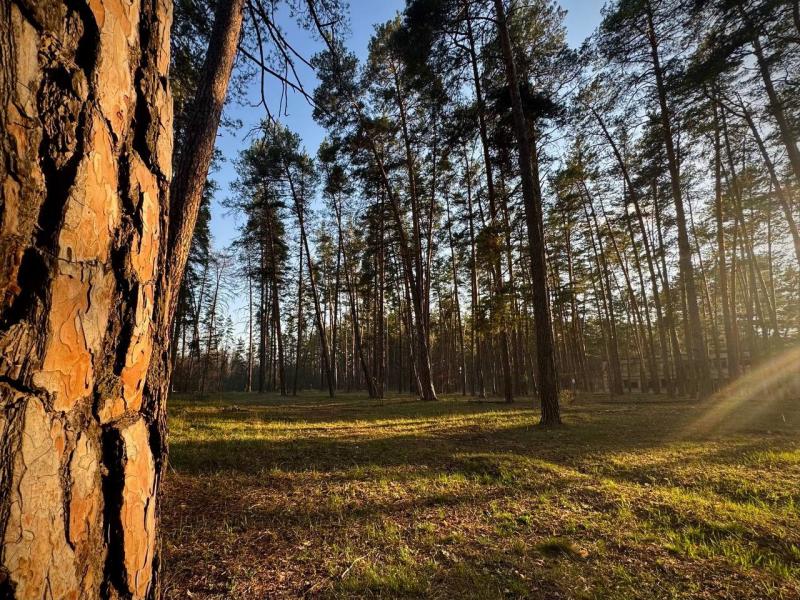 В Самарской области укрепляют систему предотвращения лесных пожаров