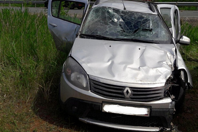 В Самарской области 11 июня в ДТП пострадали женщина и пятилетний ребёнок