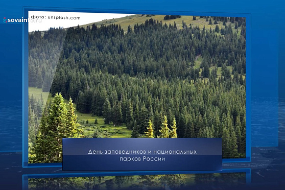 День заповедников и национальных парков. Календарь Губернии от 11 января
