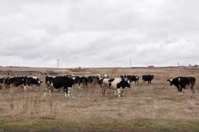 В губернии продолжается реализация программы “Агростартап”