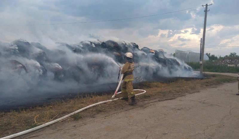 Пожар на ферме под Сызранью: эвакуировали 70 коров