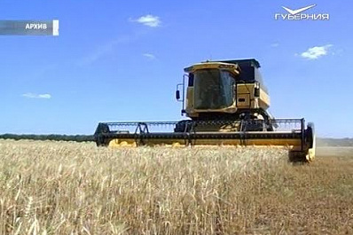 Рекордный урожай подсолнечника: в Самаре обсудили итоги полевого сезона